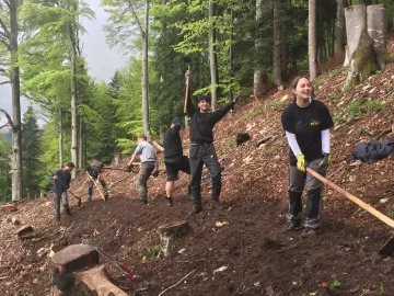 In der Waldklimawoche beschäftigen sich die Jugendlichen auf dem Arbeitsplatz und im Unterricht mit Themen rund um den Klimawandel und mit den Herausforderungen, die dieser für den Wald hat.