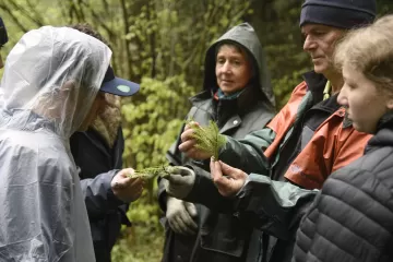 Was wächst denn hier? Jugendliche lernen verschiedene Baumarten kennen.