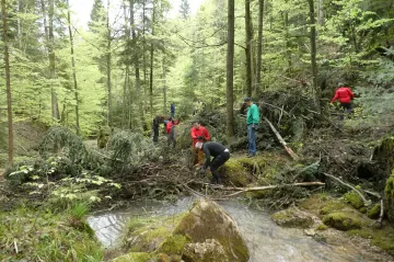 Die Freiwilligen der UBS tauschen jeweils für einen Tag ihren Büroplatz mit dem Wald und packen kräftig für einen guten Zweck mit an.