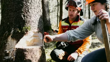 Altes Handwerk erlernen:<br>Handholzerkurs im Februar 2026